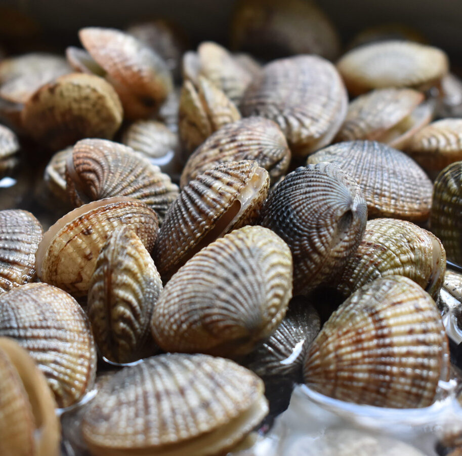 Vongole-e-Lupini